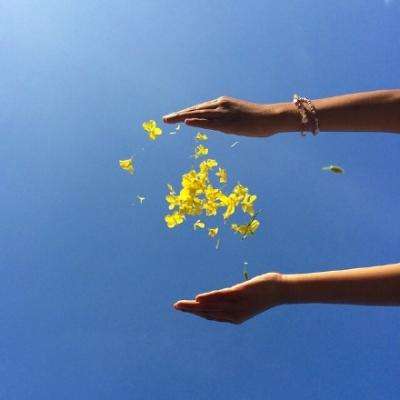 yabo官网网页版app下载