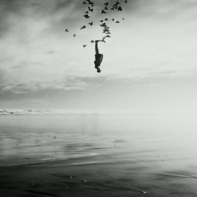 一分赛车app下载官方