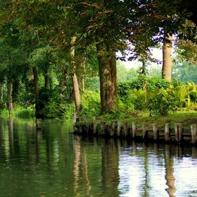 澳门·威斯尼斯wns888入口下载手机版