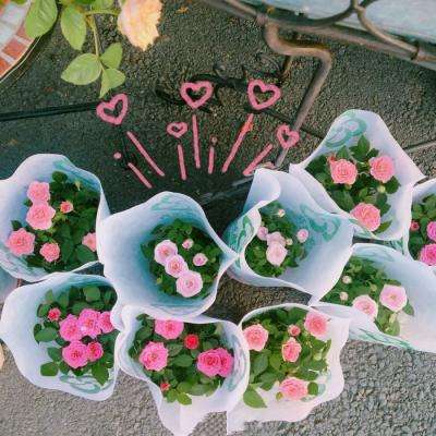 NG体育APP官方下载网址手机app下载